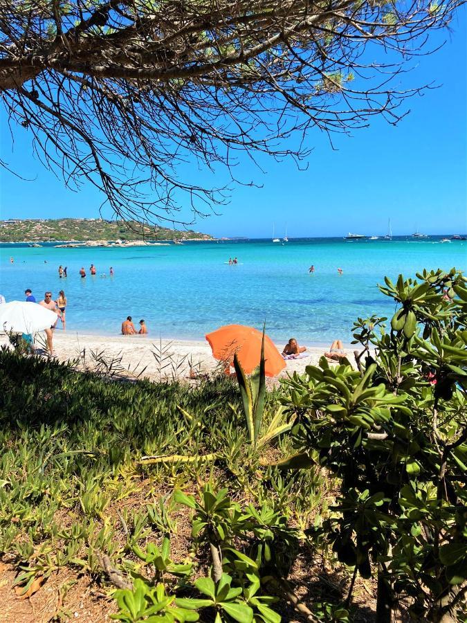 Coconing A 7min Des Plages - Piscine Chauffee - Clim - Bbq - Parking Privatif - Fibre * Porto-Vecchio (Corsica)