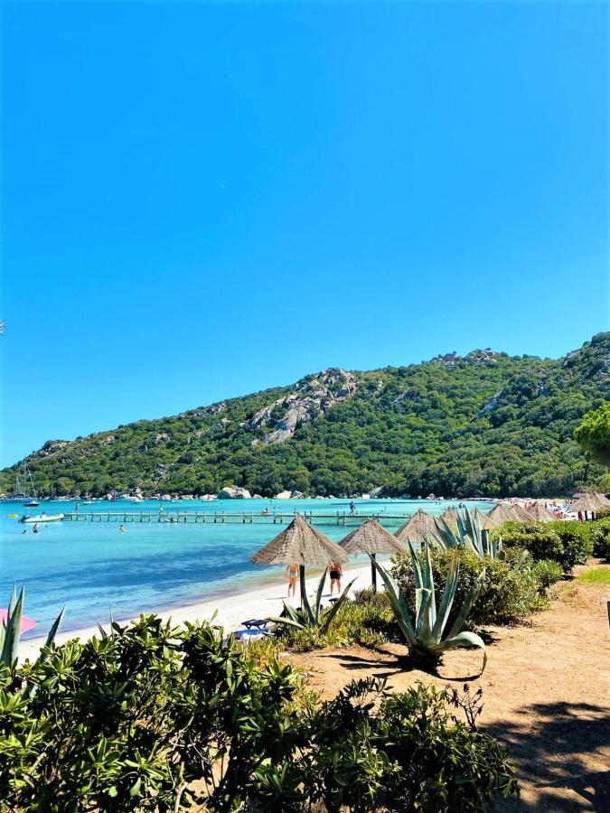 Coconing A 7min Des Plages - Piscine Chauffee - Clim - Bbq - Parking Privatif - Fibre * Porto-Vecchio (Corsica)